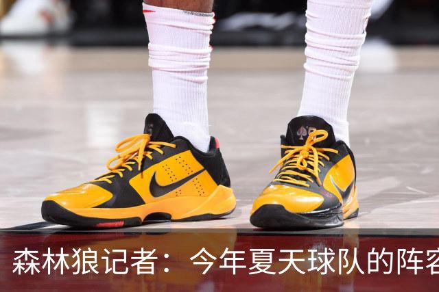 森林狼记者：今年夏天球队的阵容预计会有很大的变动
